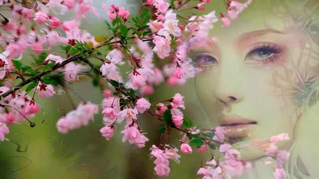 Футаж Весна. Красивый футаж для видео. Фоновый футаж. Видеофон.