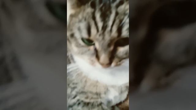 блин уже скоро 🌃🌃 смотреть онлайн