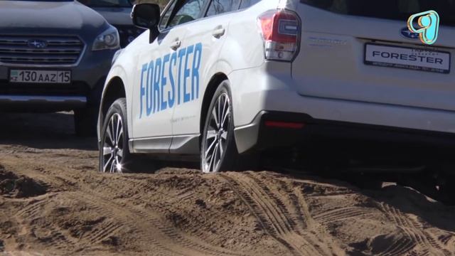 9.10.18 Вивага-Лада сыйлықтар береді (М) смотреть онлайн