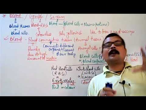 Life processes (Part-16) for class-10 By-Prashant sir смотреть онлайн