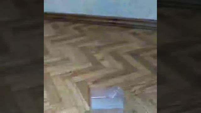 Стирлинг + манометр смотреть онлайн