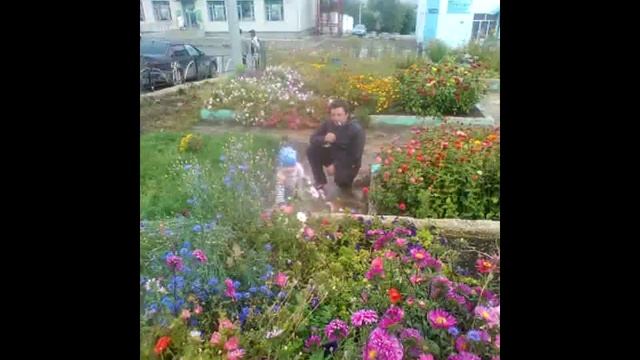 МЫ СЕМЬЯ смотреть онлайн