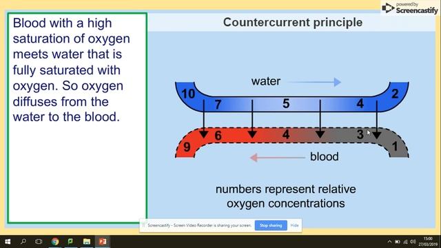 3.3.2 Gas Exchange In Fish. AQA A Level Biology