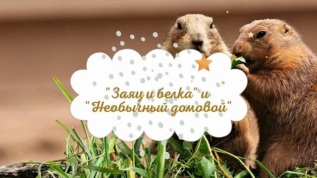 Сказки "Заяц и белка" и "Необычный домовой" смотреть онлайн