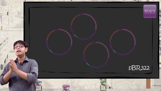Biotechnology: Principles And Processes | Concept Visualised | PBR322 An Ideal Plasmid | NEET