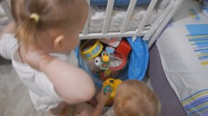 Красота! Красота! Мы везём с собой кота!