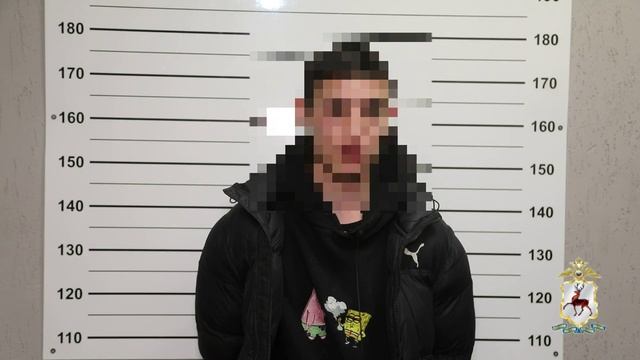 24 дня проводит под административным арестом кстовчанин, сбросивший петарду с балкона пятиэтажки смотреть онлайн