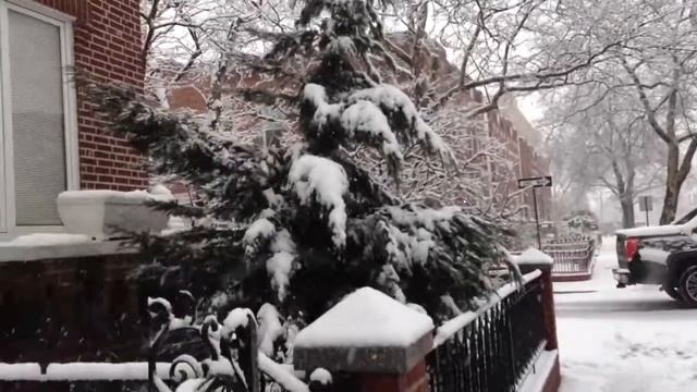 Зима в Бруклине. смотреть онлайн