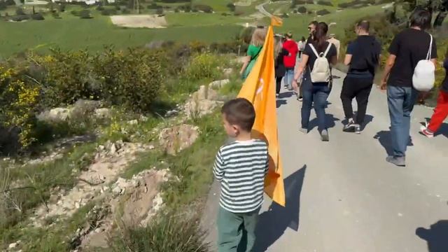 На Кипре садят деревья.