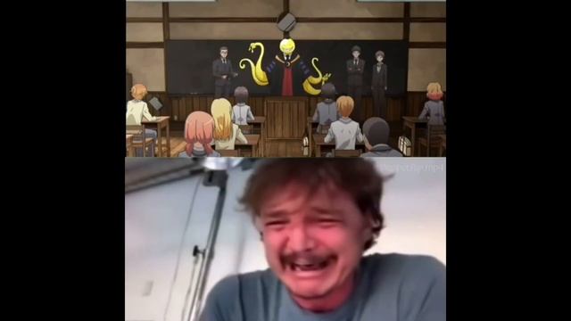 PEDRO PASCAL CRYING MEME COMPILATION смотреть онлайн
