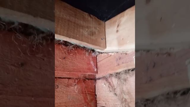 Дополнение к посту выше🤘 смотреть онлайн