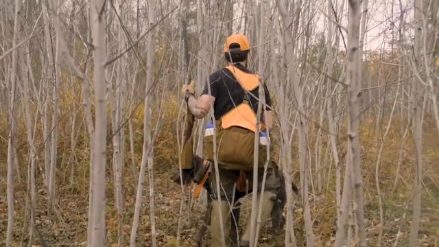 A Fight for Healthy Forests - Ruffed Grouse Society Member A.J. DeRosa смотреть онлайн