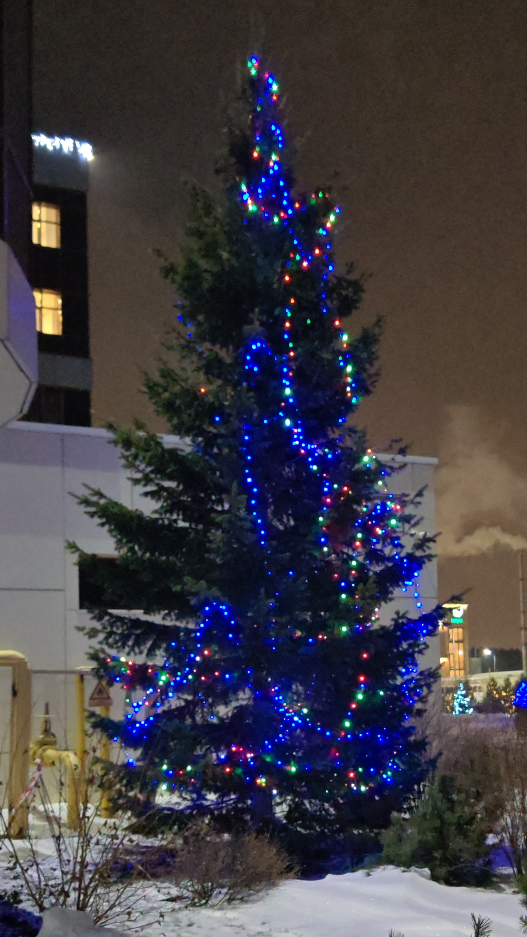 Новосибирск. Готовность 99,9% 🎅 смотреть онлайн