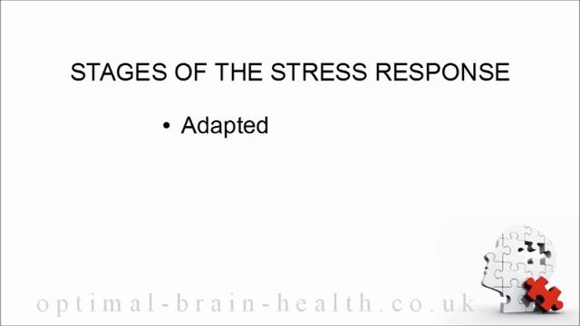 Optimal Brain Health Course - 4 Stress and the Adrenal Glands смотреть онлайн
