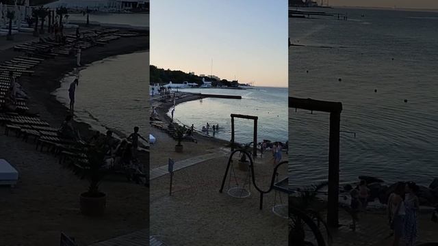 #OdessaBeaches now Пляж "Дельфин".✨ 💚446 August 4, 2023 Beach "Dolphin" #ByTheBlackSea #уЧерногоМор смотреть онлайн