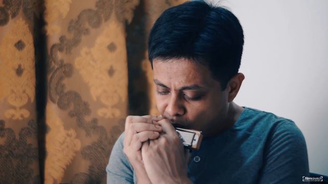 My Heart Will Go On · Titanic Theme · Harmonica Notes · Harmonica Tabs смотреть онлайн