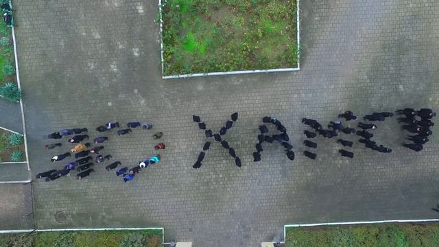 Флешмоб Хамсятник 2018