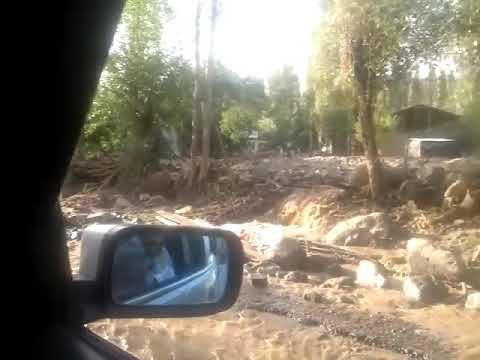 Сели бедак якруз пас смотреть онлайн