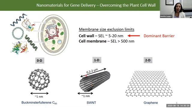 Nanomaterials Engineering To Probe And Control Living Systems