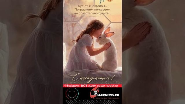 #Юмор Ш, диалог, переписка, цитаты, ирония, сарказм и немного котиков актуально сегодня 23 01 02 1 смотреть онлайн