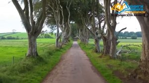 Как Успокоить Свой Ум Полностью И Познать Абсолютное Счастье?! Роберт Адамс