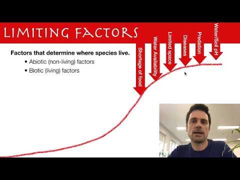 Limiting Factors смотреть онлайн