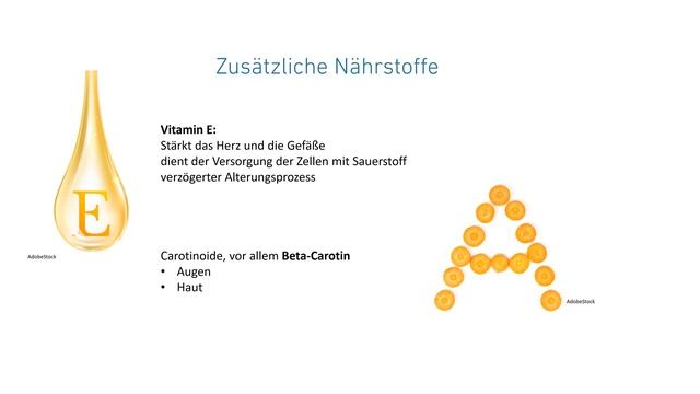 Mikroalgen - Winzlinge mit großer Wirkung | Webinar mit Sonja Winkelströter смотреть онлайн