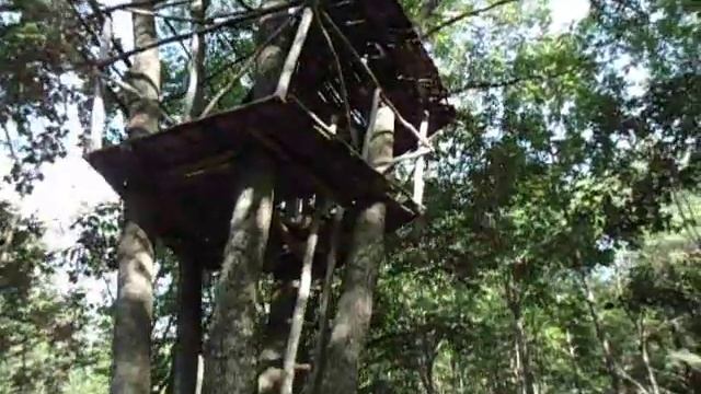 ЛЕШИЙ СУЩЕСТВУЕТ! СЕНСАЦИЯ! смотреть онлайн