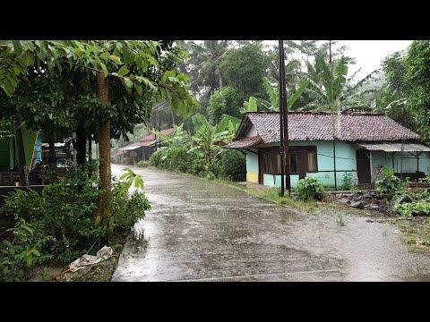 Heavy Rainfall In Rural Areas | Stress Reliever With Rain Sounds For Sleep | Indonesia Village Life