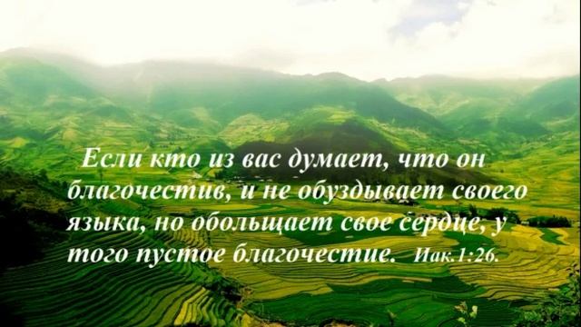 Не спеши смотреть онлайн