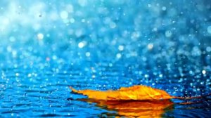 Успокаивающая чтение Корана, под шум дождя!