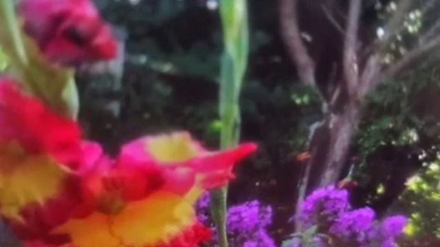 Love ❤ Story By Andy Williams,  Karaoke 🎤 By Your's Truly Utubesally3718justsing 💖