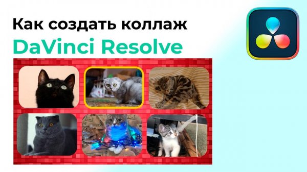 Создаем коллаж в Davinci Resolve