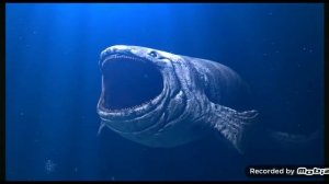 Кит Кашалот [Fan made]