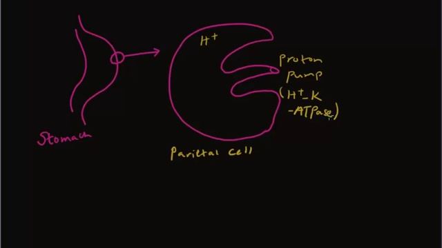 Working of proton pump inhibitors смотреть онлайн