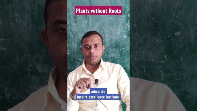 Plants Without Roots