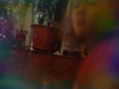 Типы людей перед телевизором/ семечкоед , обжора , соня ,  нечего не интересно , блогер , и т д
