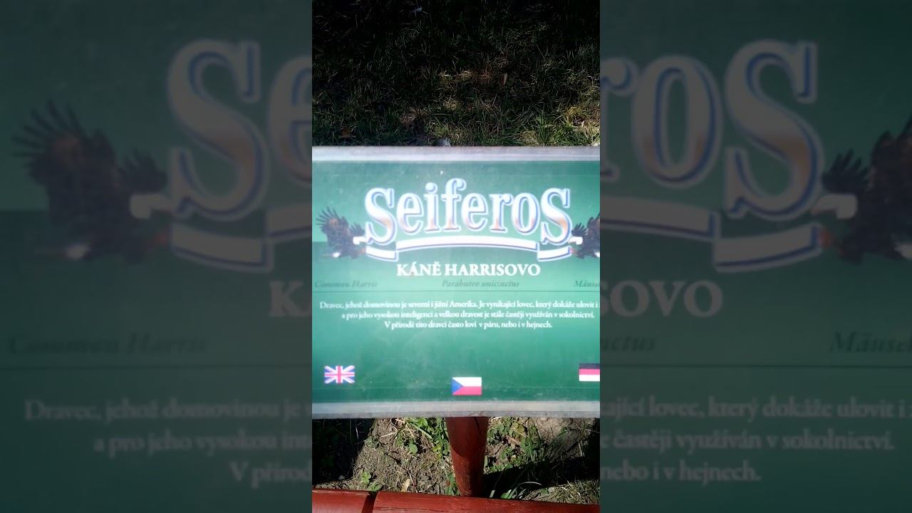 Lednicko valtický areál zayferus dravci смотреть онлайн