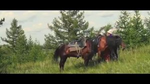 Һәр көндө керәһең төшөмә