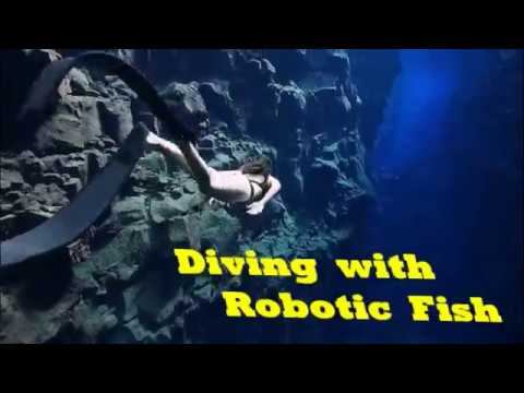 Diving robot biki no cables смотреть онлайн