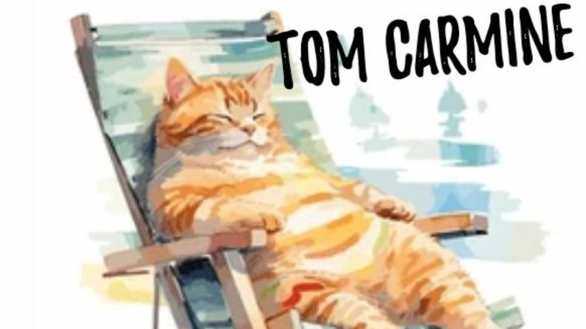 Chill Kitten By Tom Carmine