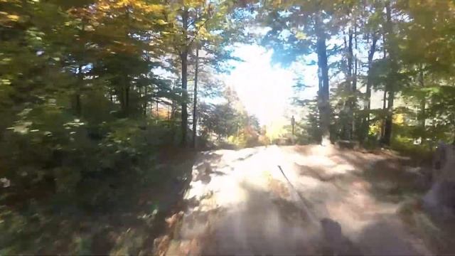 Alpen Bike Park- Chur