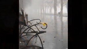 "Эта женщина в окне"