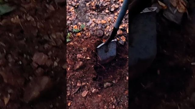 Хороший сигнал металлоискателя 🤣 смотреть онлайн