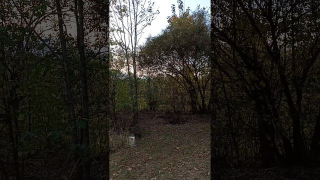 участок СНТ Водник 28 соток смотреть онлайн