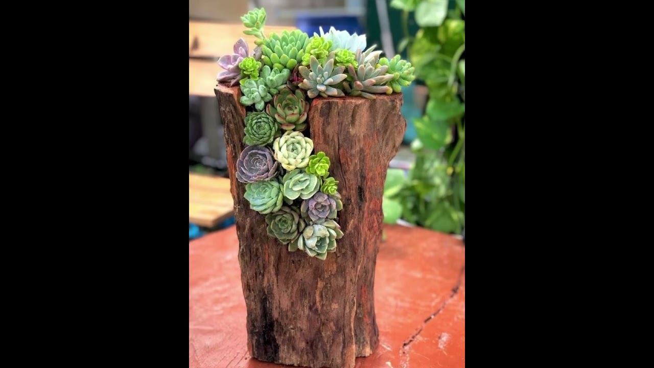 Идеи/ примеры декора сада каменными розами/ молодило 🌟Dekoideen смотреть онлайн