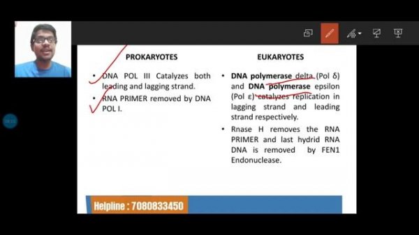 DNA REPLICATION IN PROKARYOTES & EUKARYOTES