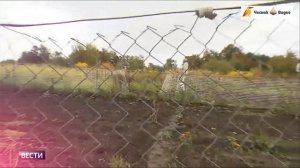 Анонс ТВ-новостей "Вести.Неделя в городе" (Москва) с Я. Красиенко для 02.10.2022 с эффектами улучшен