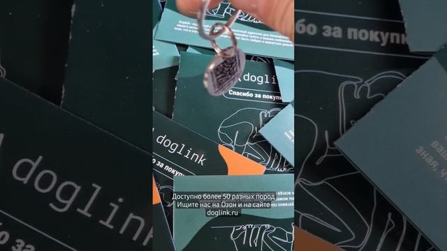 Адресник для собак с QR кодом и гравировкой. доступен на ozon и на нашем сайте. Doglink. #собака смотреть онлайн