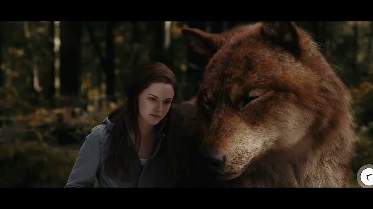Twilight wolves - Falling inside the black смотреть онлайн